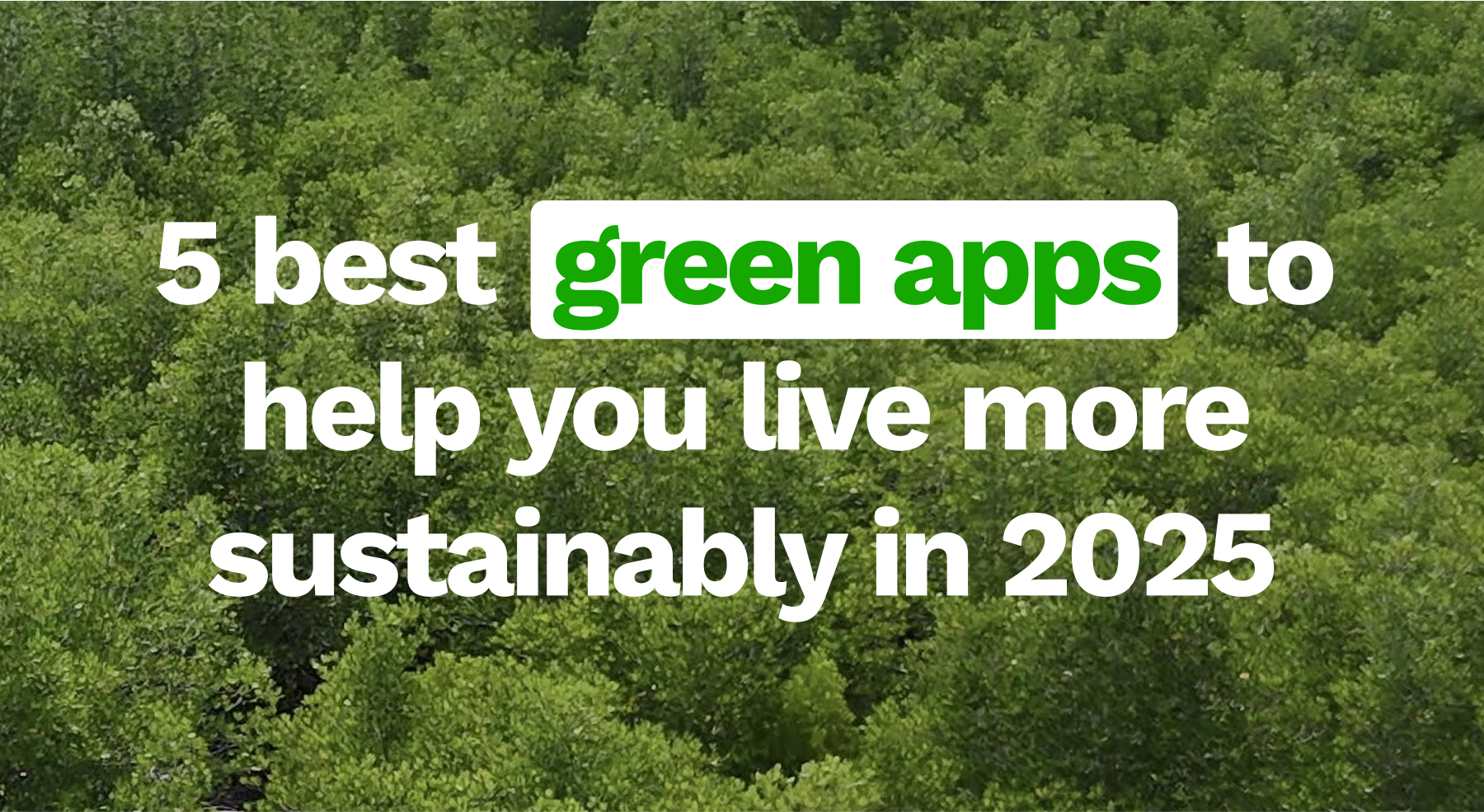 5 best green apps to help you live more sustainably in 2025 🌱